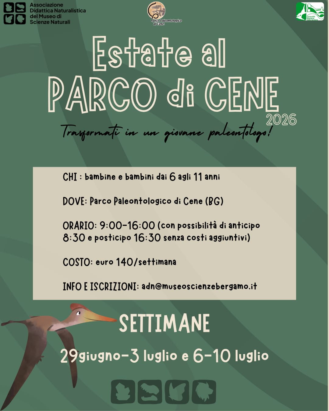 Estate al parco di Cene
