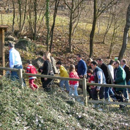 Gruppo in visita Gruppo in visita - © P. P. Cene.
